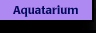 Aquatarium - Jens Gottwald