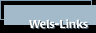 Wels-Links