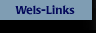 Wels-Links